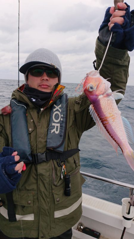 ARCADIAⅡ （アルカディアⅡ） 釣果