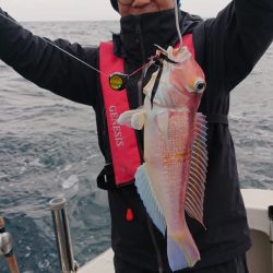 ARCADIAⅡ （アルカディアⅡ） 釣果