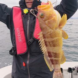 ARCADIAⅡ （アルカディアⅡ） 釣果