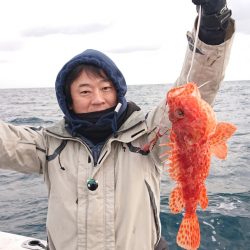 ARCADIAⅡ （アルカディアⅡ） 釣果