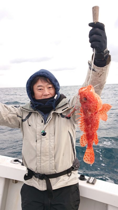 ARCADIAⅡ （アルカディアⅡ） 釣果