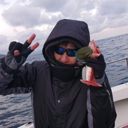 ARCADIAⅡ （アルカディアⅡ） 釣果