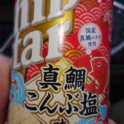 ARCADIAⅡ （アルカディアⅡ） 釣果