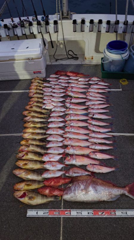 ARCADIAⅡ （アルカディアⅡ） 釣果