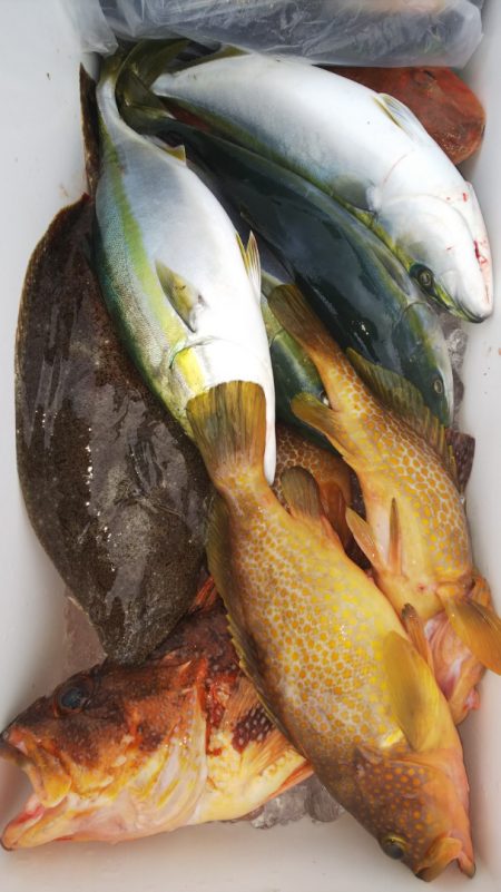 第二龍勢丸 釣果