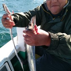 小島丸 釣果