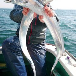 金沢八景鴨下丸 釣果