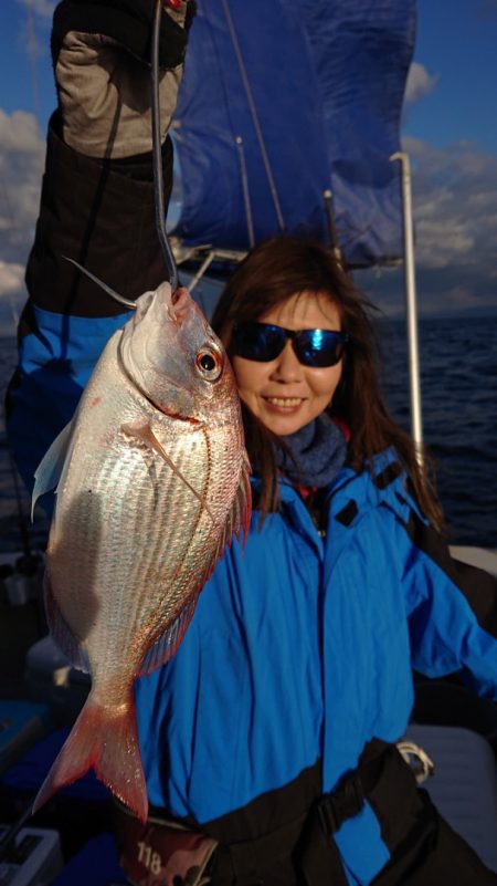 ARCADIAⅡ (アルカディアⅡ) 釣果