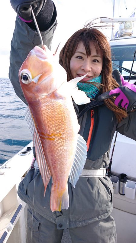 ARCADIAⅡ (アルカディアⅡ) 釣果