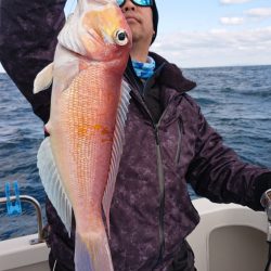 ARCADIAⅡ (アルカディアⅡ) 釣果