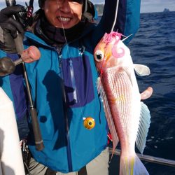 ARCADIAⅡ (アルカディアⅡ) 釣果