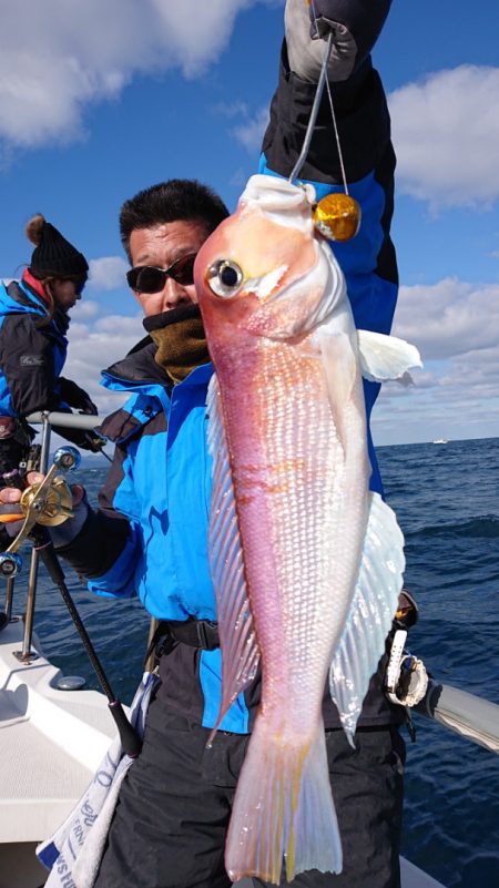 ARCADIAⅡ (アルカディアⅡ) 釣果