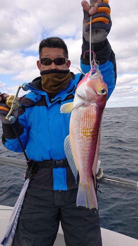 ARCADIAⅡ (アルカディアⅡ) 釣果