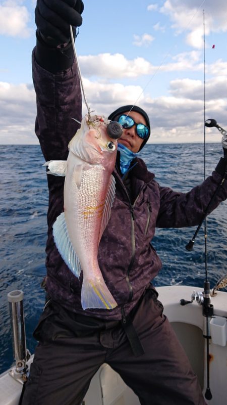 ARCADIAⅡ (アルカディアⅡ) 釣果