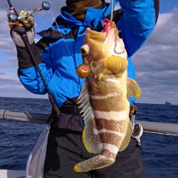 ARCADIAⅡ (アルカディアⅡ) 釣果