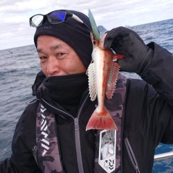 ARCADIAⅡ (アルカディアⅡ) 釣果