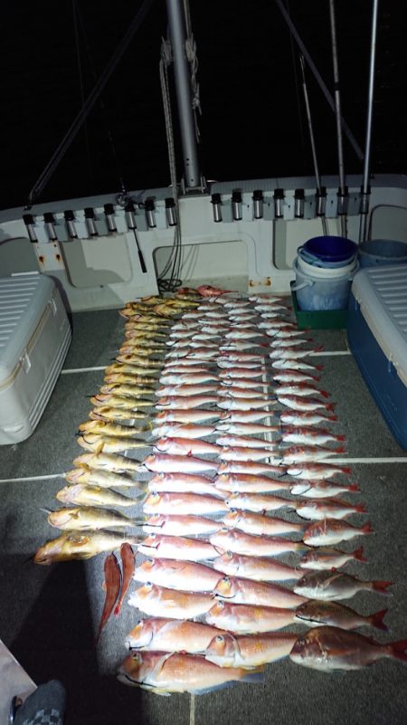 ARCADIAⅡ (アルカディアⅡ) 釣果