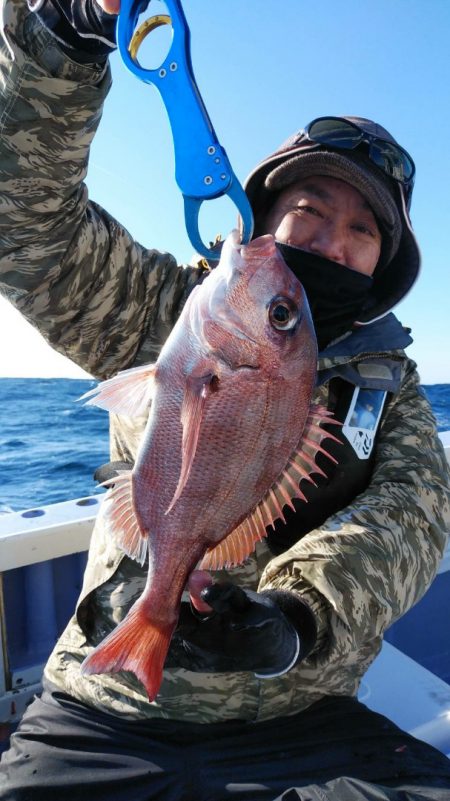 新幸丸 釣果
