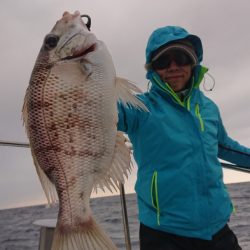 だて丸 釣果
