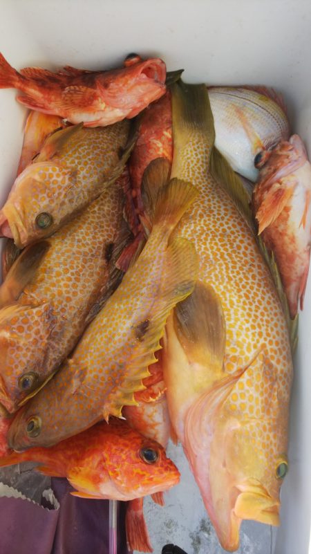 第二龍勢丸 釣果