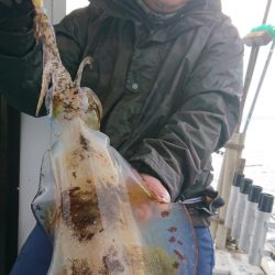 シースナイパー海龍 釣果