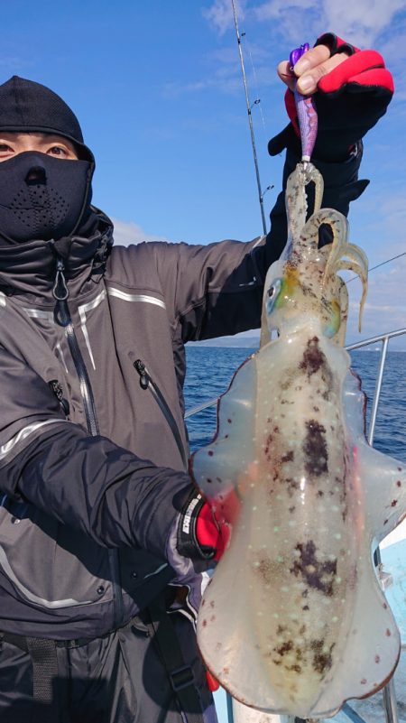 シースナイパー海龍 釣果