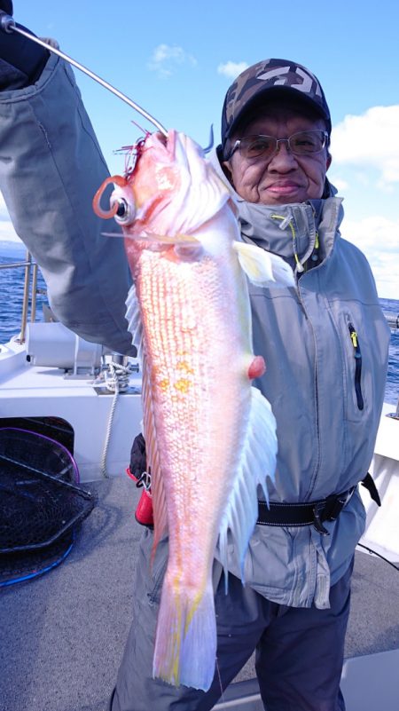 ARCADIAⅡ (アルカディアⅡ) 釣果