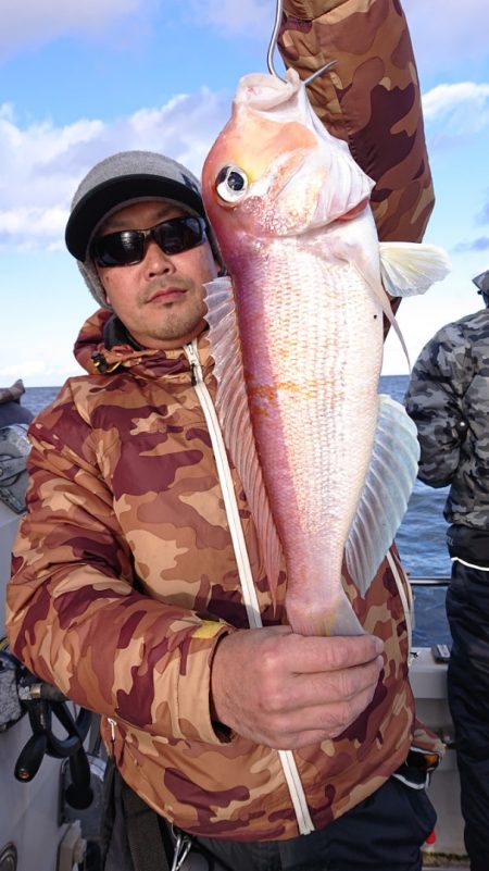 ARCADIAⅡ (アルカディアⅡ) 釣果