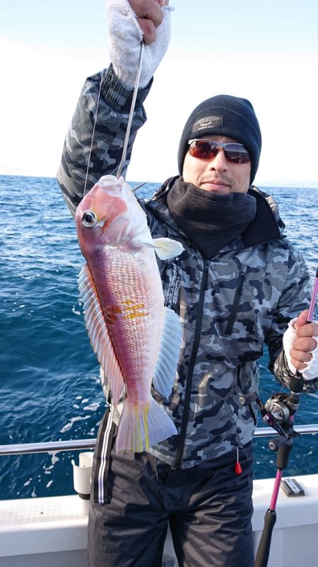 ARCADIAⅡ (アルカディアⅡ) 釣果