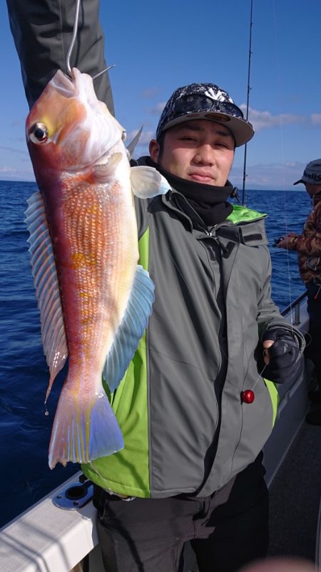 ARCADIAⅡ (アルカディアⅡ) 釣果