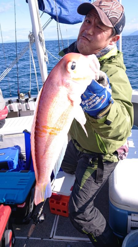 ARCADIAⅡ (アルカディアⅡ) 釣果