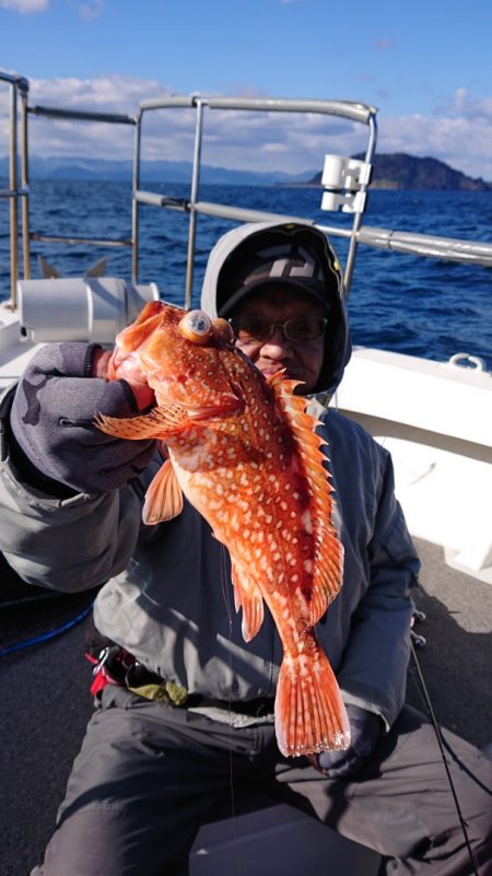 ARCADIAⅡ (アルカディアⅡ) 釣果