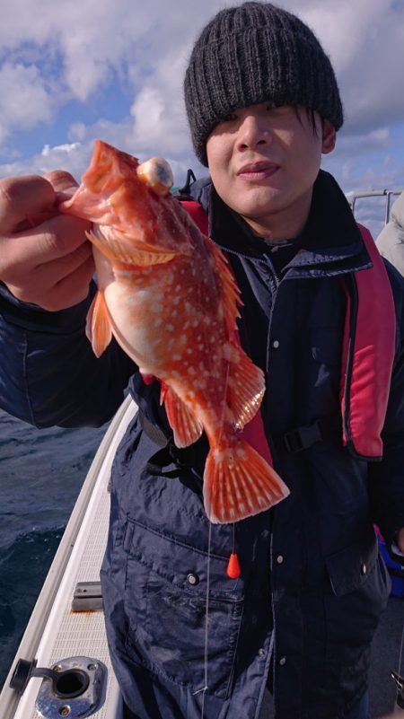 ARCADIAⅡ (アルカディアⅡ) 釣果