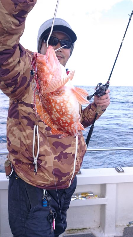 ARCADIAⅡ (アルカディアⅡ) 釣果