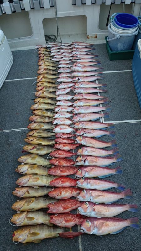 ARCADIAⅡ (アルカディアⅡ) 釣果