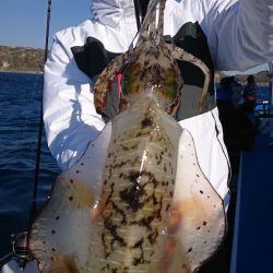 第三共栄丸 釣果