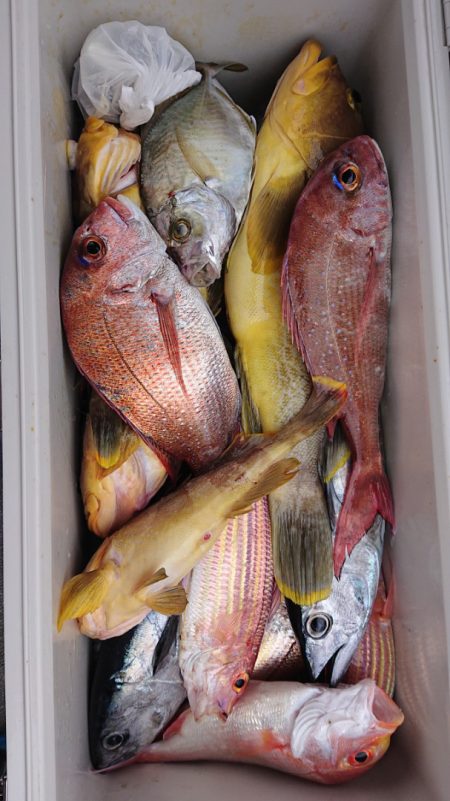 海皇丸 釣果