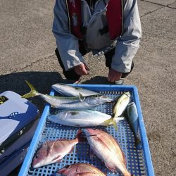 第三共栄丸 釣果