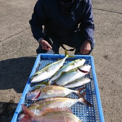 第三共栄丸 釣果