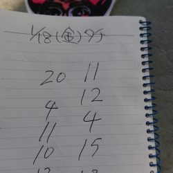 金沢八景鴨下丸 釣果