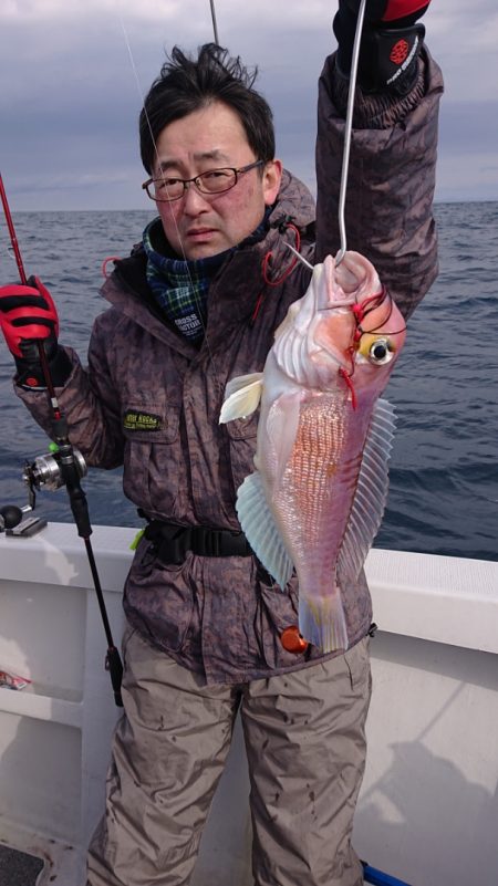 ARCADIAⅡ (アルカディアⅡ) 釣果