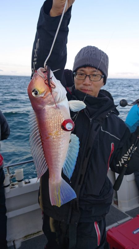 ARCADIAⅡ (アルカディアⅡ) 釣果