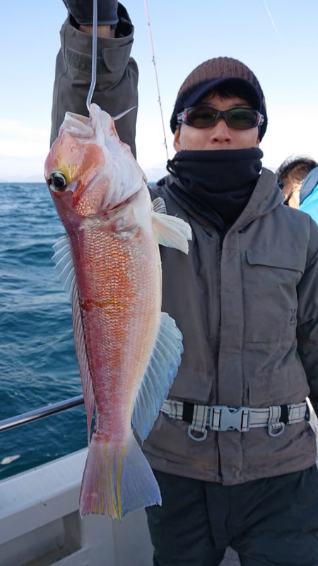 ARCADIAⅡ (アルカディアⅡ) 釣果