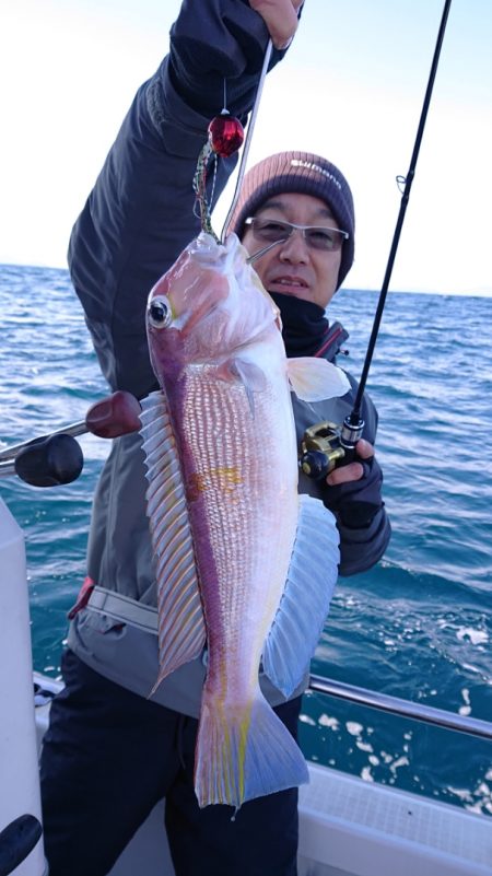 ARCADIAⅡ (アルカディアⅡ) 釣果