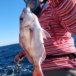 新幸丸 釣果