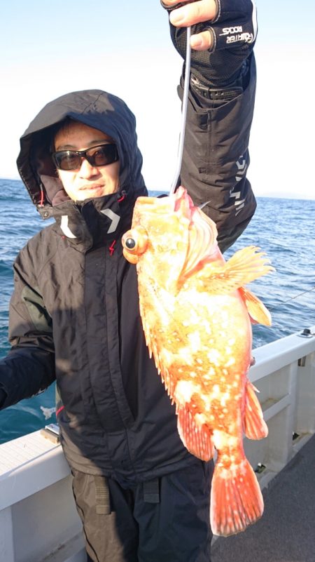 ARCADIAⅡ (アルカディアⅡ) 釣果