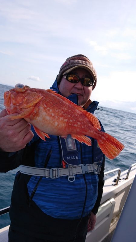 ARCADIAⅡ (アルカディアⅡ) 釣果