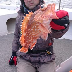 ARCADIAⅡ (アルカディアⅡ) 釣果