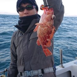 ARCADIAⅡ (アルカディアⅡ) 釣果