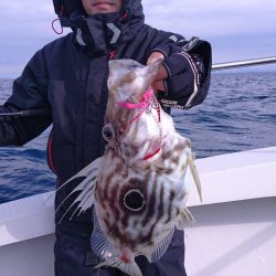 ARCADIAⅡ (アルカディアⅡ) 釣果